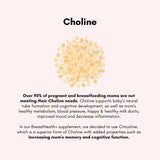BreastHealth+ Pregnancy and Breastfeeding for Clogged Ducts and Mastitis